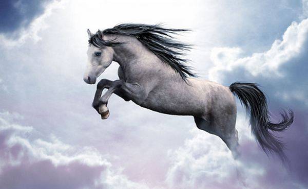 《咏马》 杨师道除了《马说》以外,古代才华横溢的诗人们还写了许多