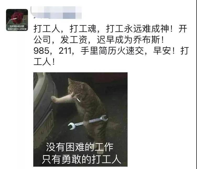 在全民玩梗的时代里     段子多半是六分调笑,三分自嘲,一分荒谬 打工