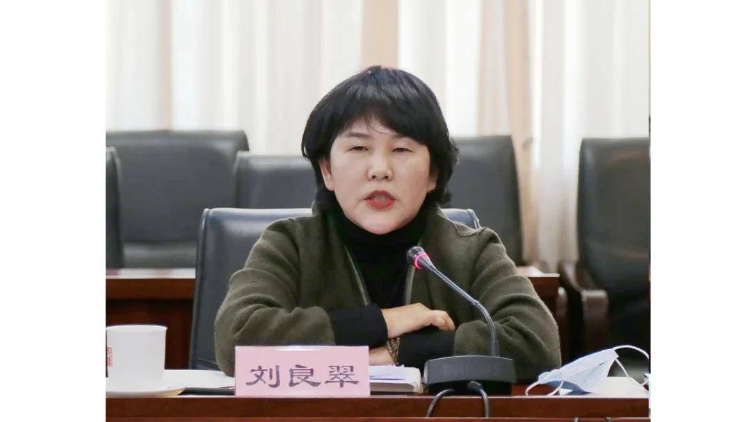 巡视员,民革中央机关总支第三支部党员周丽萍发言民革中央社会服务部