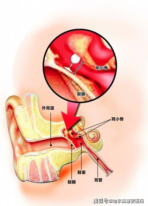 哈尔滨慈安医院(乐大医学·慈安医院)