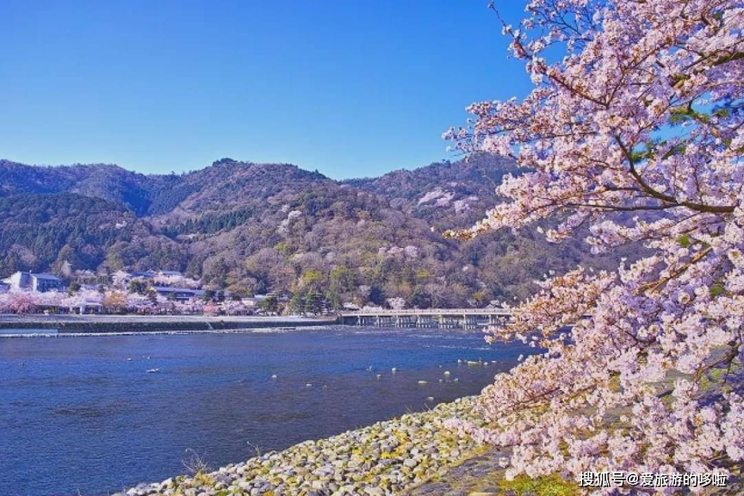 到京都必打卡的岚山绝景,真的美如仙境