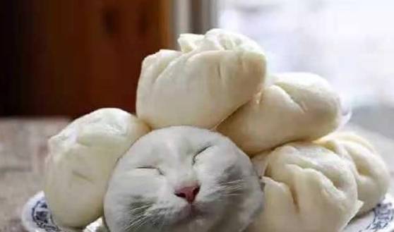 女友在微信上发来了吃午餐的照片,我关心地问:你中午就吃馒头?