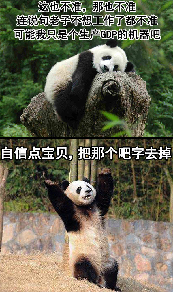 "宝贝自信点"表情包:接受完姐妹的安慰之后,我再也爬不起来了