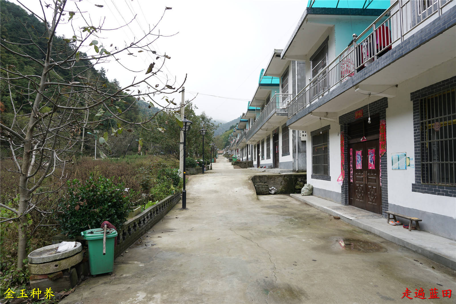 走遍蓝田,2020辋川镇(狮子沟村)穿越旅行(2)