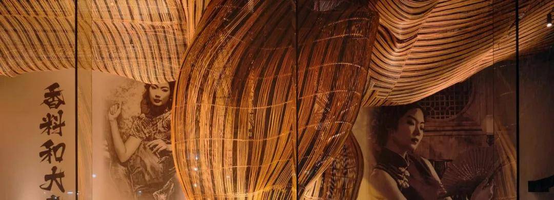 藤设计 | 扭曲的艺术_藤条