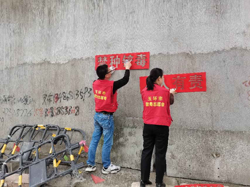 玉环市大麦屿街道禁毒办开展禁种铲毒活动