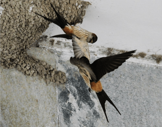 被称为"世界红石公园",红色山谷如同仙境,简直美翻了_燕子