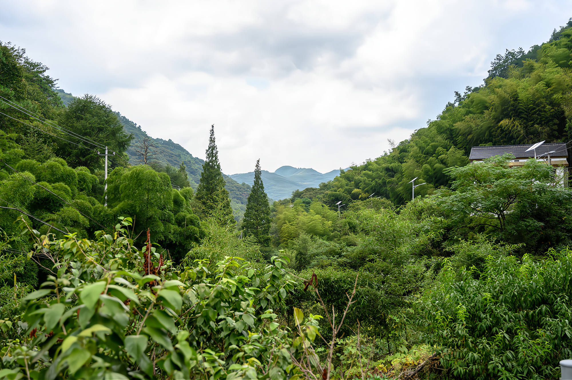 浙江上虞被遗忘的古村宛若世外桃源几乎没有游客的身影
