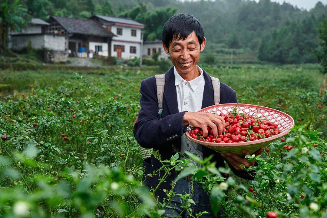 全国832个贫困县全部摘帽,这700万返乡创业者的故事值得被看见!