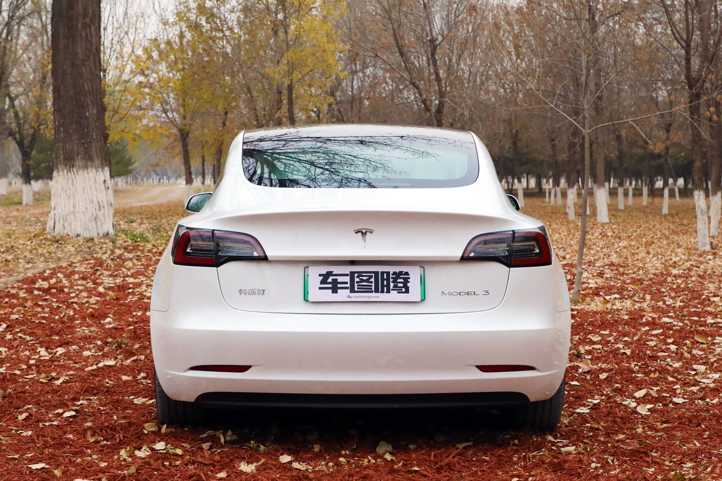 试驾特斯拉model 3:争议那么多,为什么还是这么香?