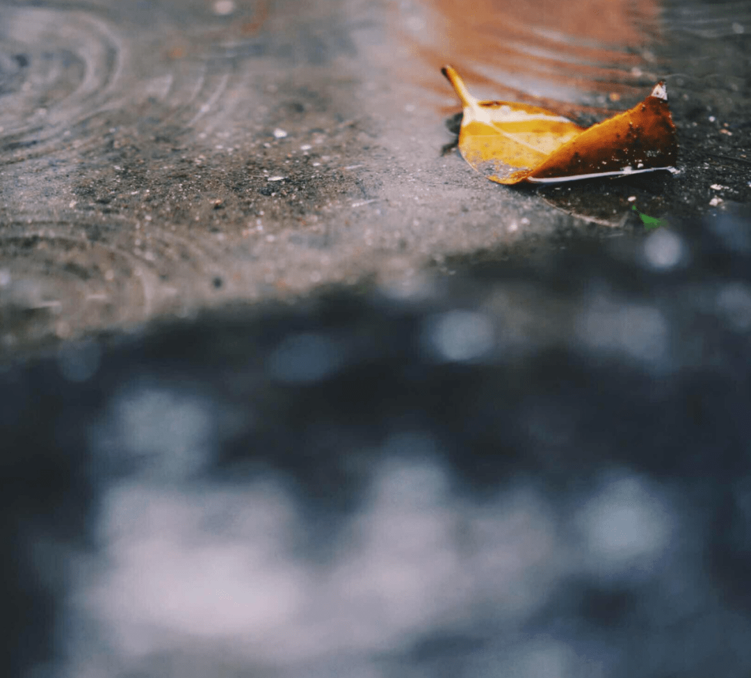 何事冬來雨打窗,夜聲滴滴曉聲淙.