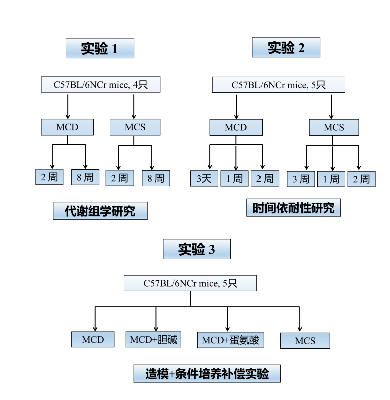 看完秒懂，代谢组学医药领域机制研究实验设计方案怎么做？_酒精性