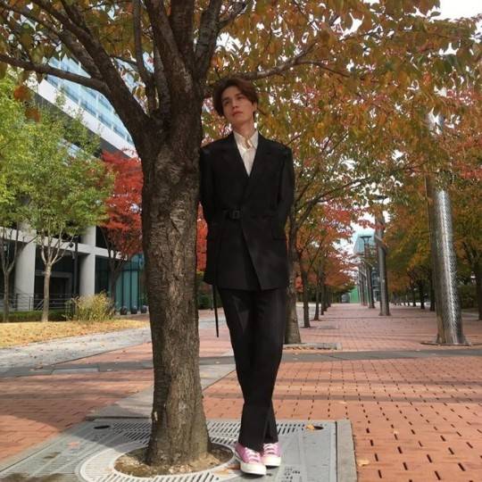 李栋旭秋日户外拍照穿帆布鞋配西装造型