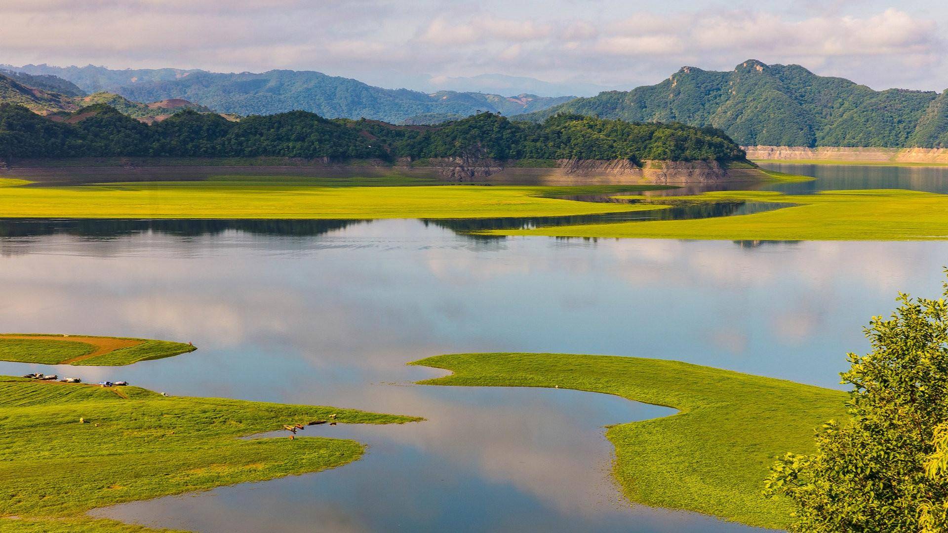 从11月27日开始,将好运连连,会财运亨通,万事胜意的三大生肖