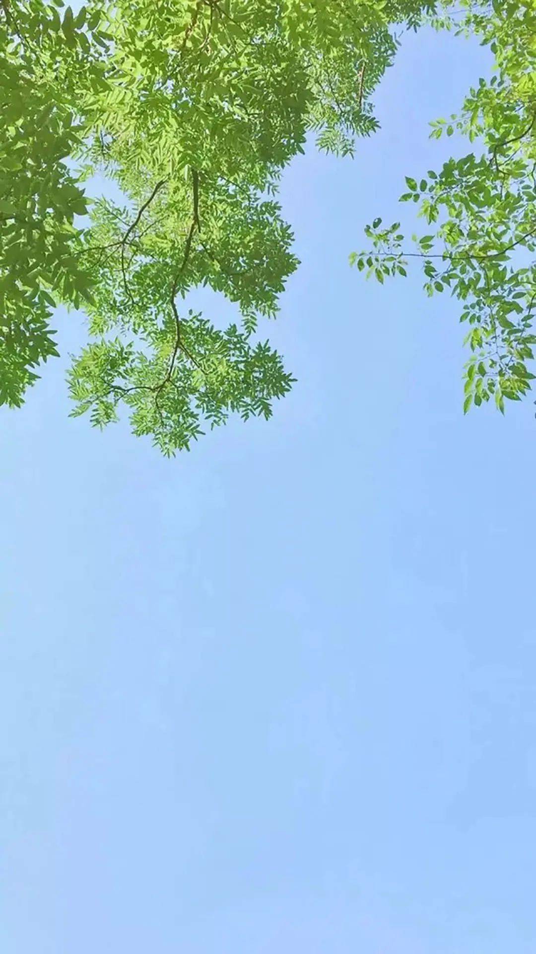 原创温暖心灵的早安句子积极阳光适合发朋友圈哦