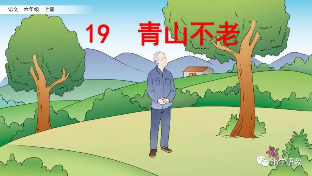 部编版六年级上册第19课《青山不老》图文讲解