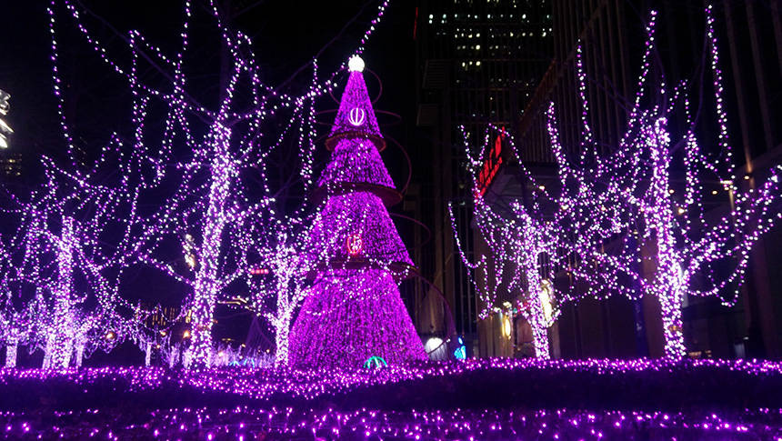 公园亮化怎么做才能够吸引人们的眼球