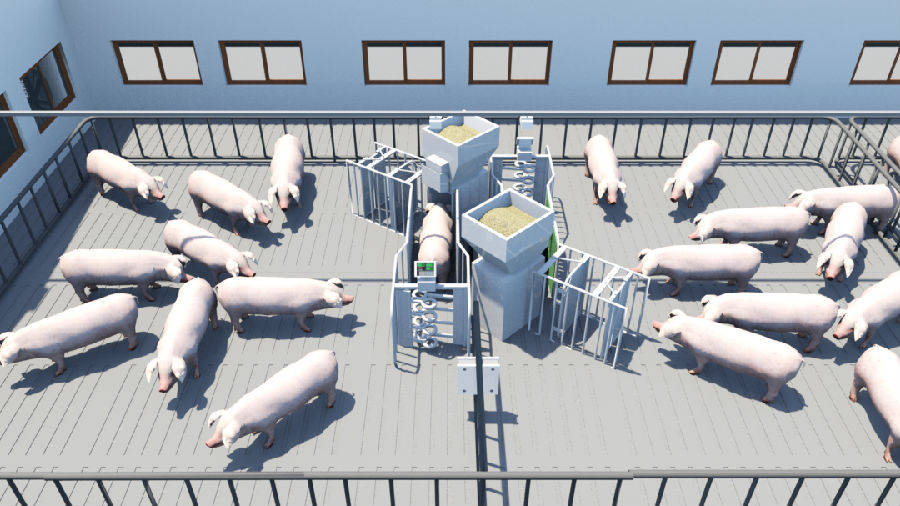 国外养猪场智能化设备图片