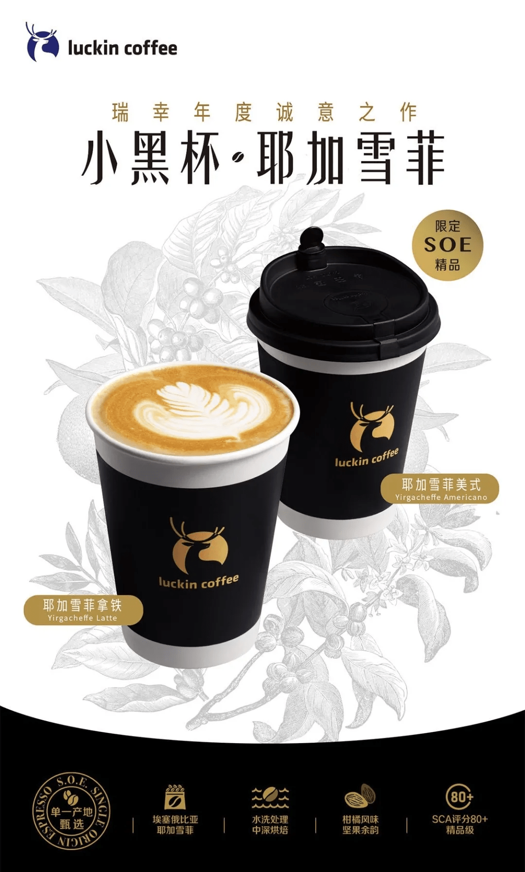 上新推荐:瑞幸咖啡限定soe精品小黑杯来了!_埃塞俄比亚