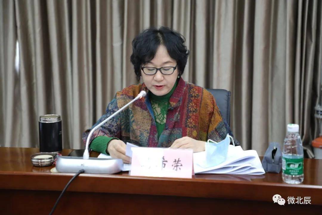 现阶段重点工作和2021年目标任务做了点评,高平武,庞镭,马希荣,胡学春