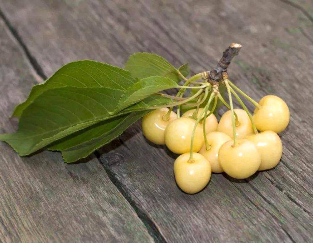 除了上述这些,我国的市场上还出现了另外一种进口水果——"白玉樱桃"!