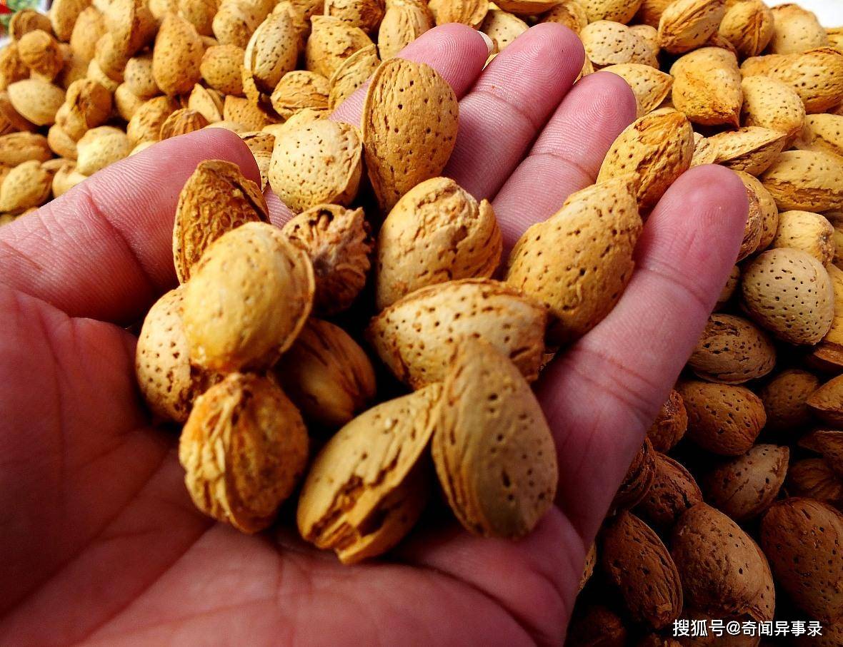新疆人最爱的干果!新疆巴旦木:皮薄肉脆味甜,营养又美味