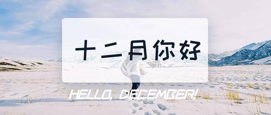 2020年的最后一个月全力以赴做最好的自己