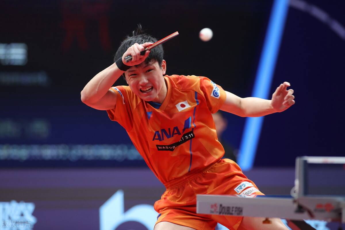 原创张本智和首度回应大吼比赛风格否认自己是天才目标是奥运金牌