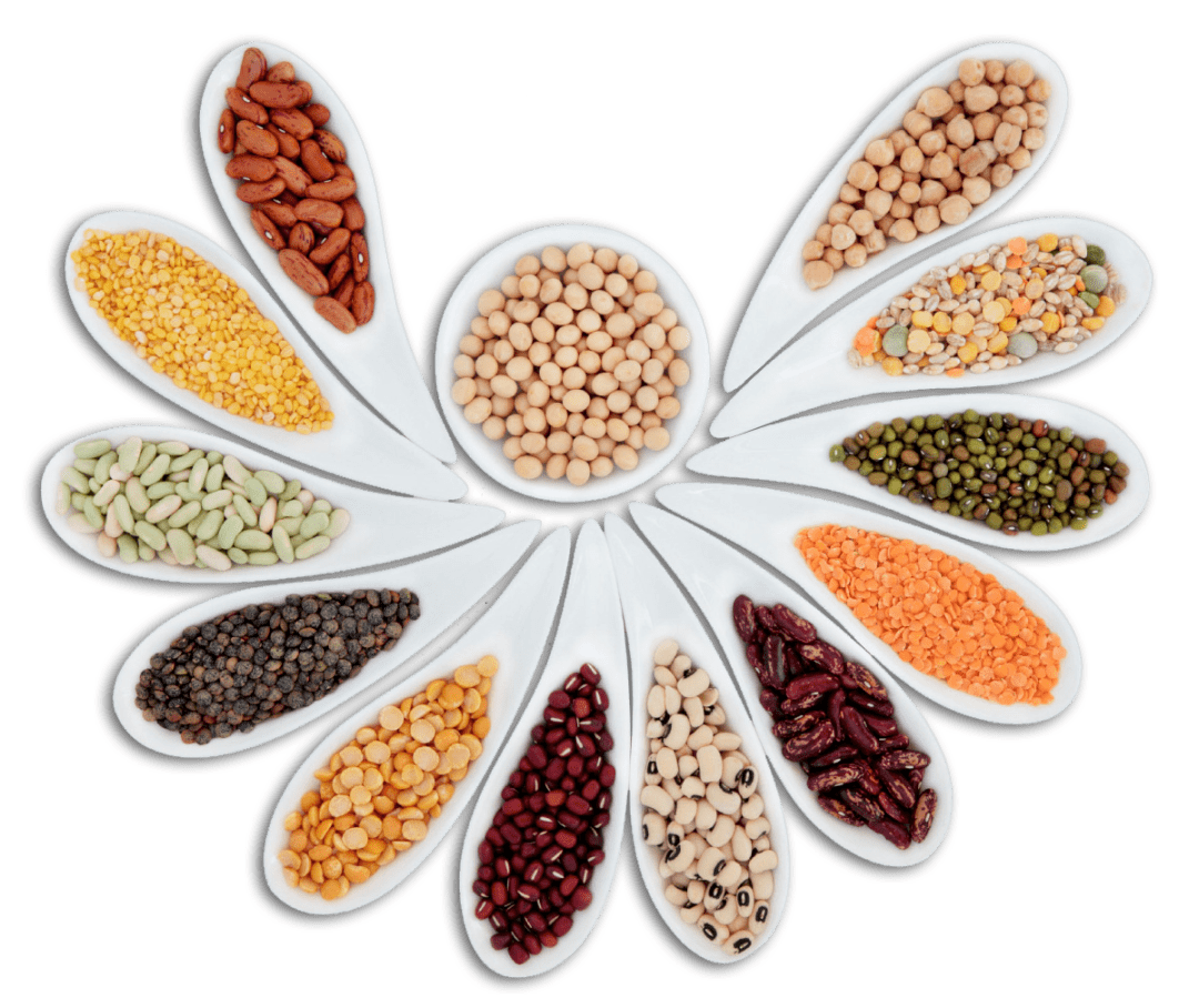 二十四种杂粮功效大揭秘,受用一生!