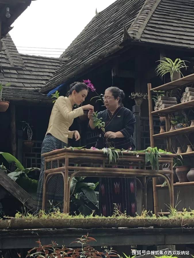 傣医药的临床,科研,教学工作40余年,主持研制"百解胶囊"等43类傣药