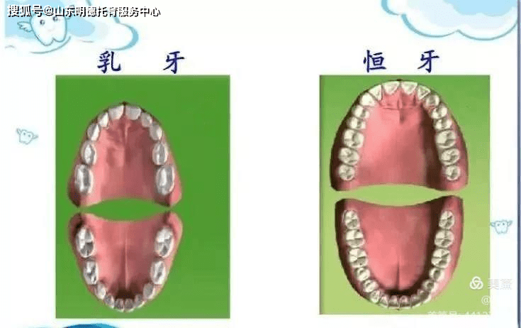 諸城市明德托育園好習慣養成月之刷牙篇關愛口腔愛護牙齒