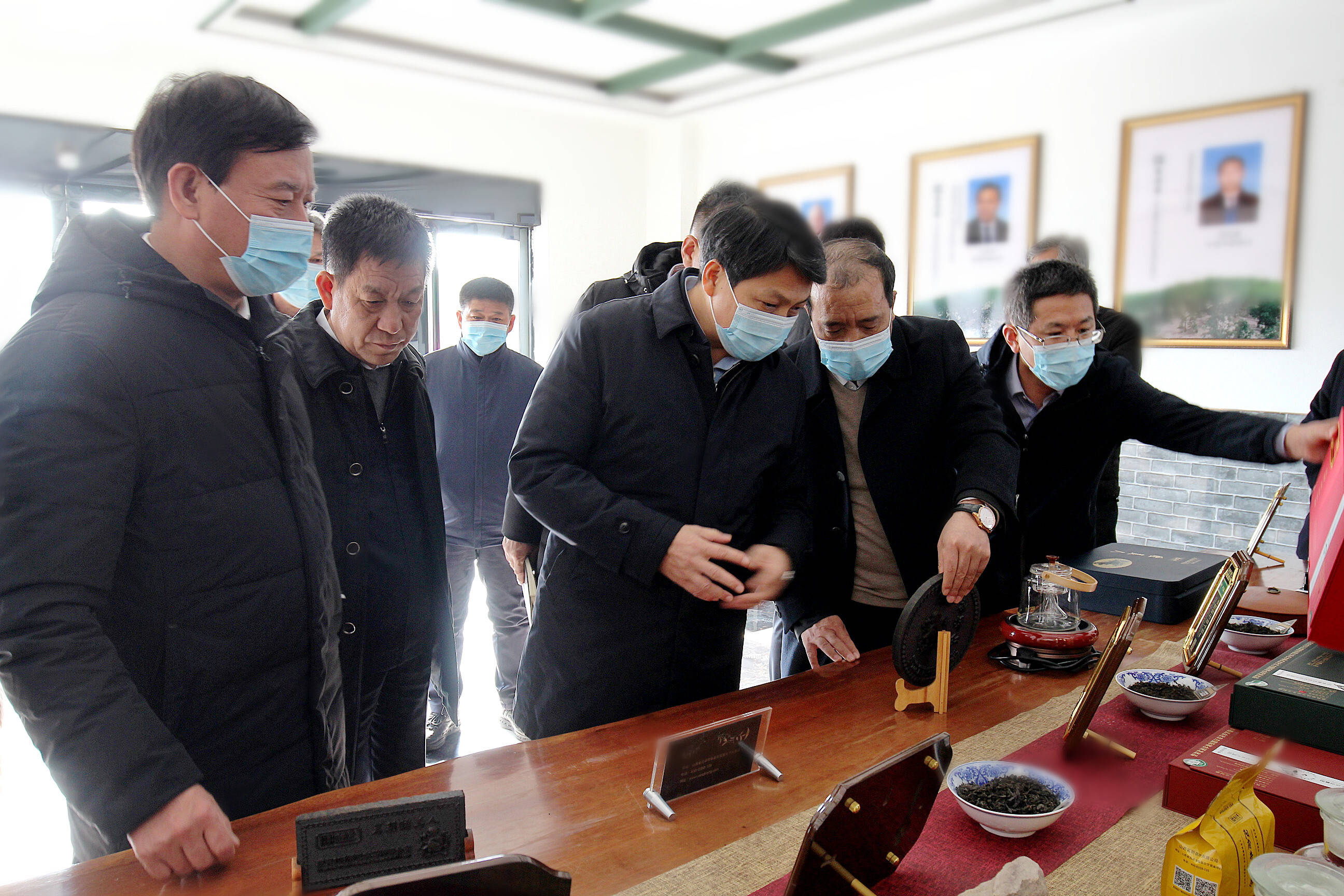 鞠振在临县调研阳府井枣芽茶