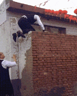 搞笑gif段子我买的这链子纯度还挺高真铜啊