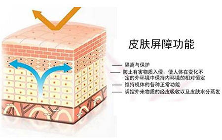 屏障|伊的家护肤达人团队推荐：修复肌肤屏障可考虑这些成分