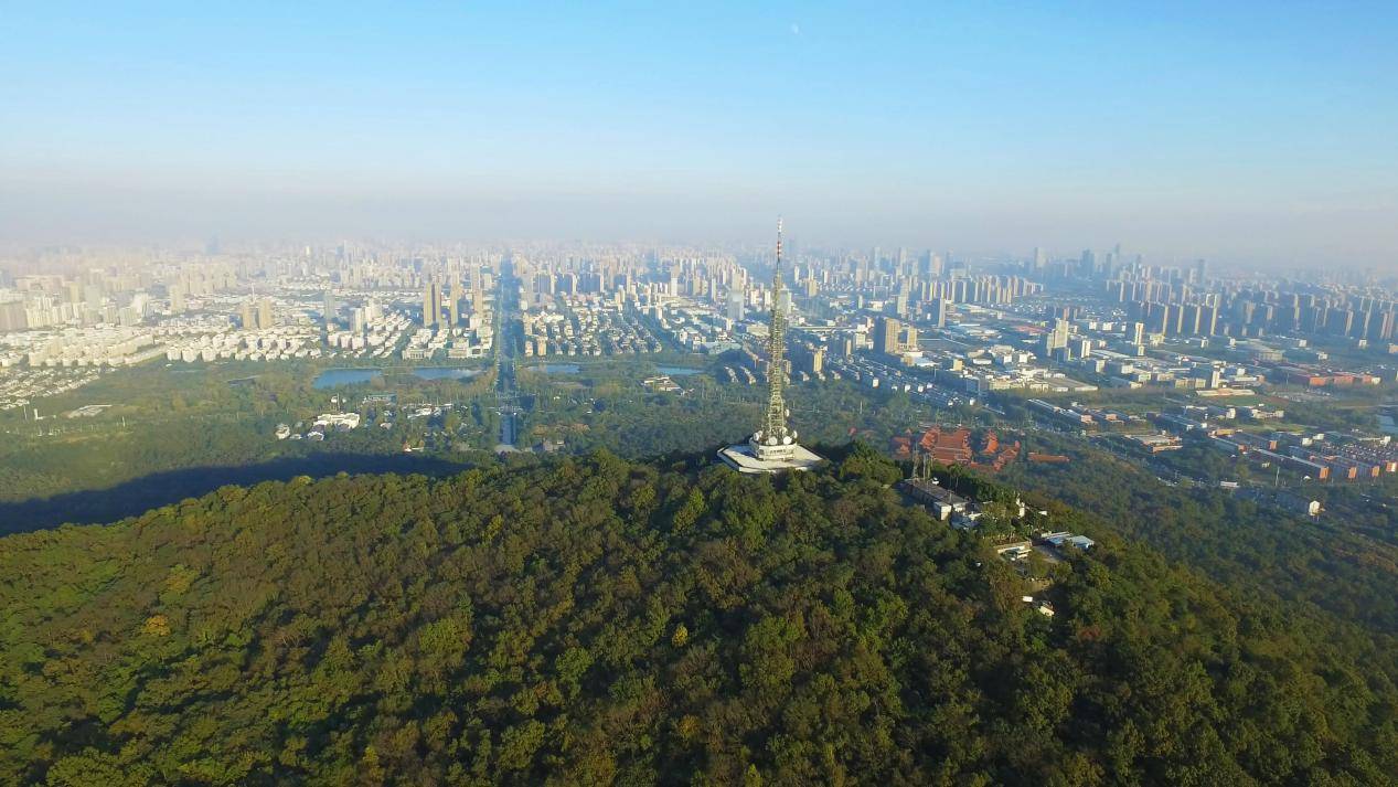 大蜀山森林公园|图片来源于网络