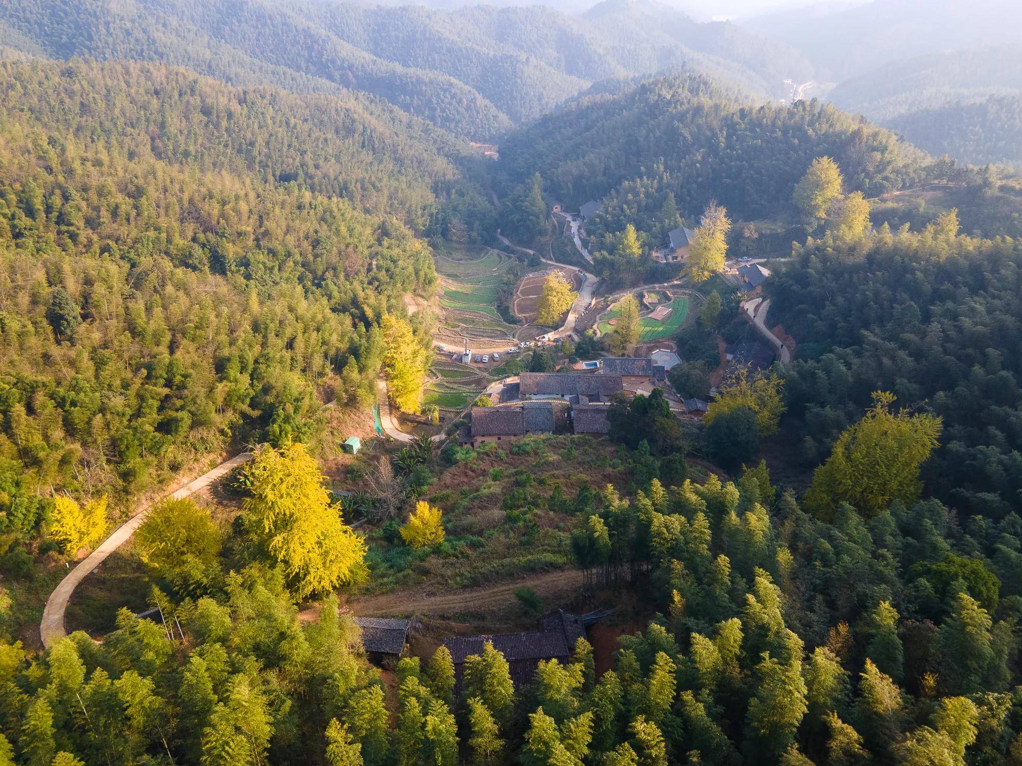 江西省万安县高岭古村图片