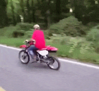 搞笑gif段子你有女朋友我有狗