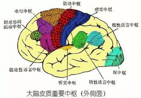 多练练前庭系统吧!_手机搜狐网