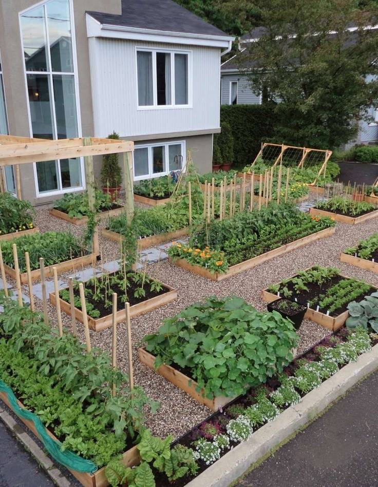 玩转庭院家里有院子的话可以建一个实用又好看的菜园子
