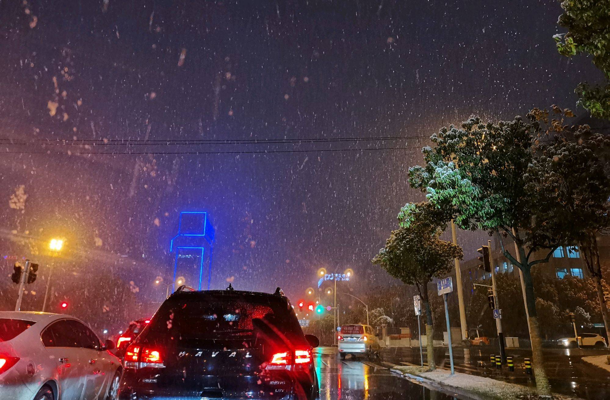 合肥迎来入冬首场降雪 雪景美如画(组图)_手机搜狐网