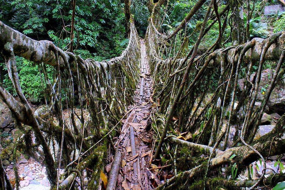 世界最廉价的桥,不用一砖一石却能用500年,网友:还是复式