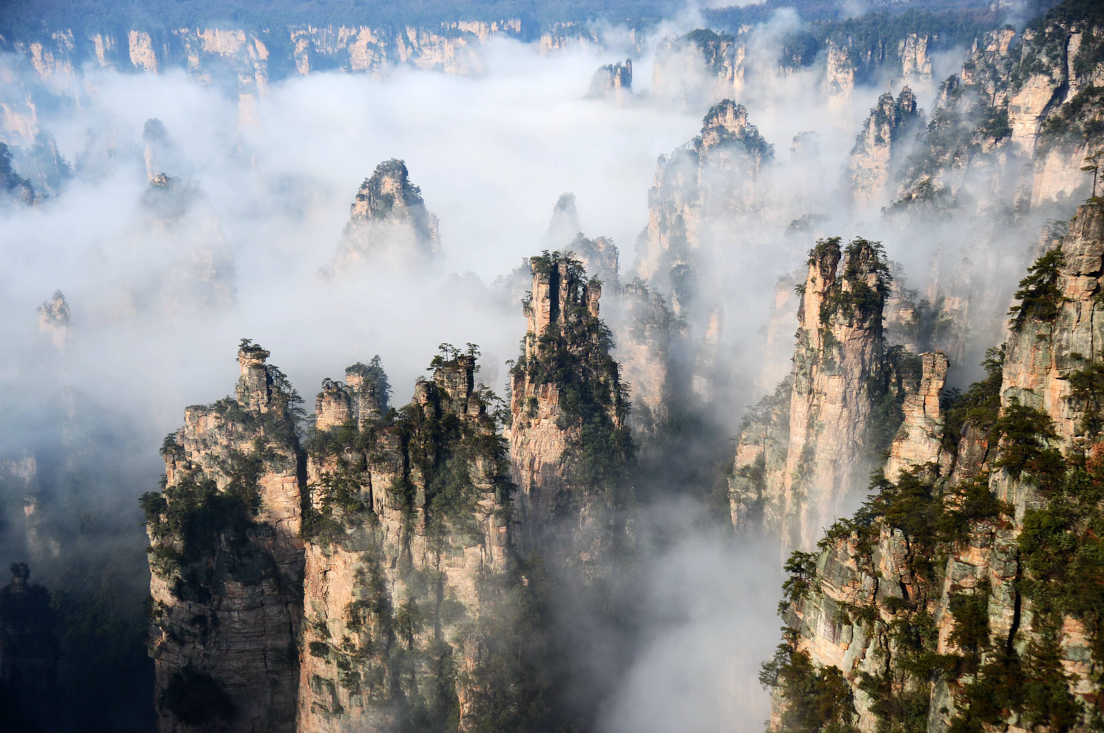 芒果好评旅行家湖南全域旅行卡发行 999元游览湖南20多个 著名景区