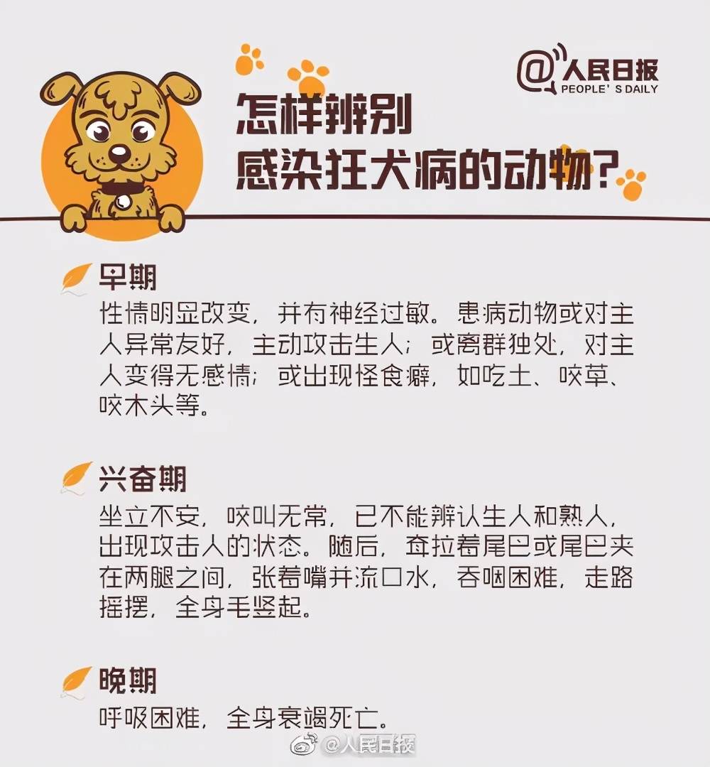 反转!杭州被狗咬伤女孩未脑死亡!掌握狂犬病的防治,关键时刻能保命!-搜狐大视野-搜狐新闻