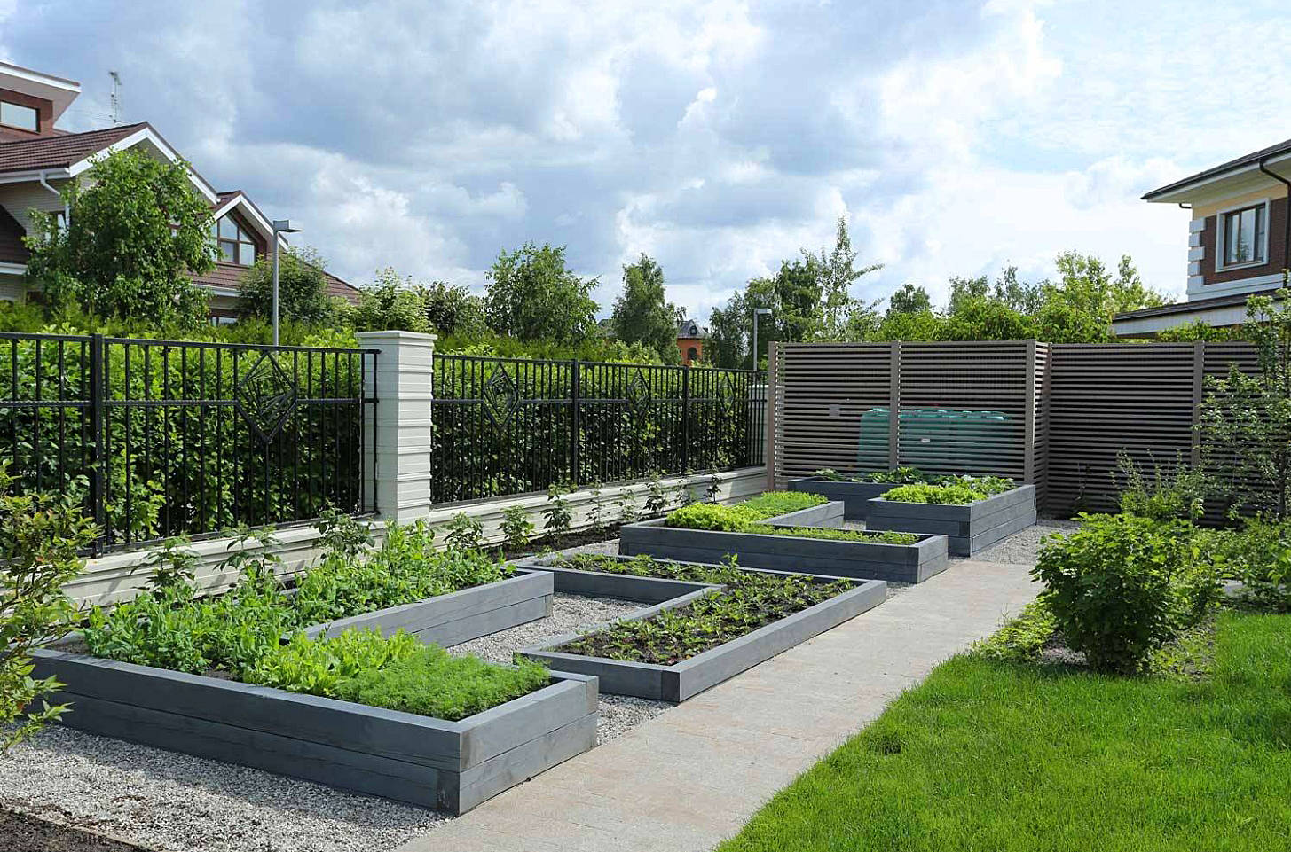 放弃庭院花园,把院子变成菜园子,可以吃自己种的放心蔬菜了