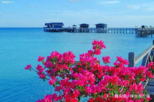 东南亚最有中国味的小城，海岛风情绝美，是春节游“性价比之王”