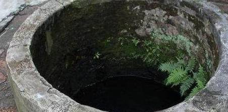 农民在枯井里捡到清代"金条",专家鉴定后情绪失控_手机搜狐网