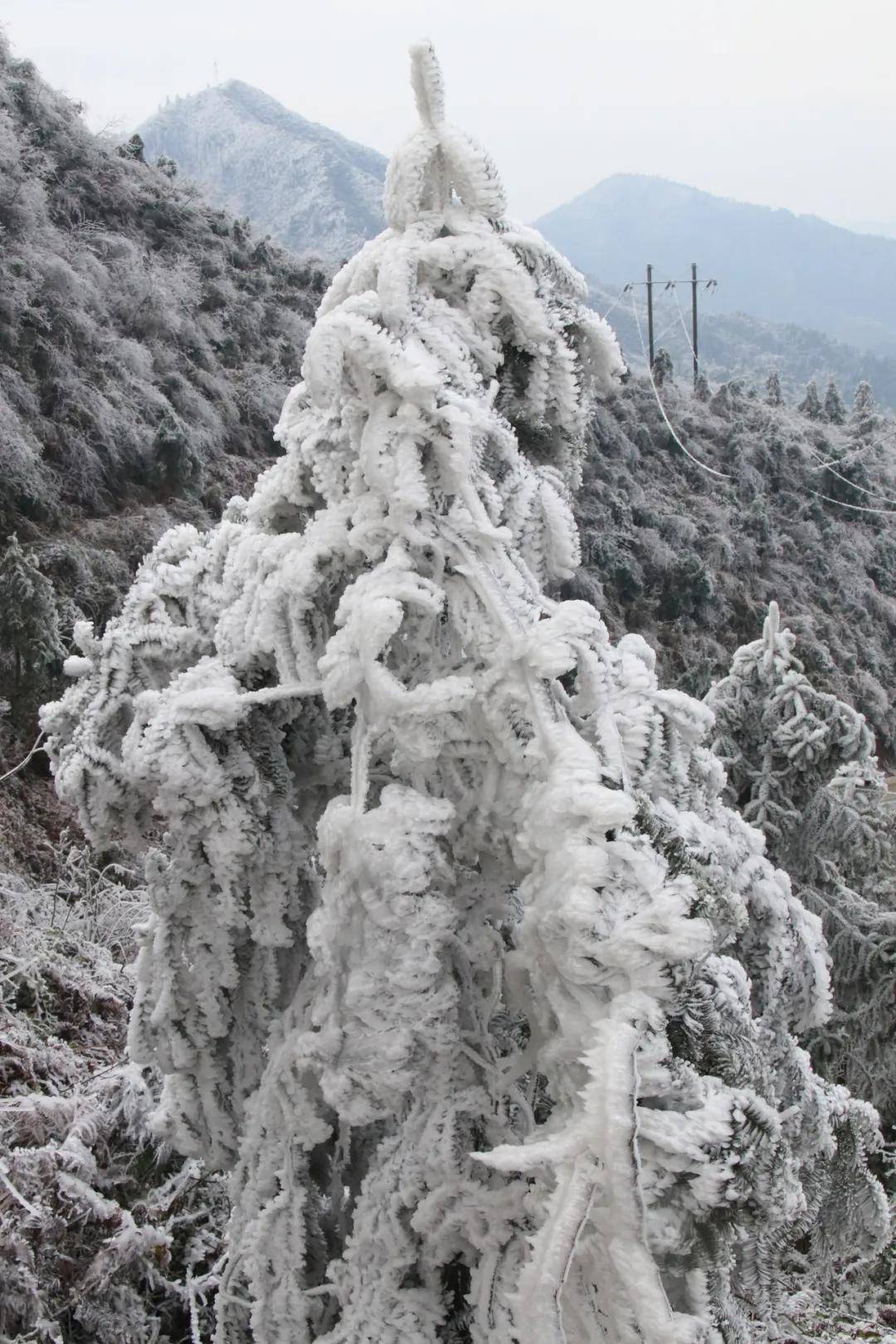 资源县隘门界雪景每天数万人前来观赏!