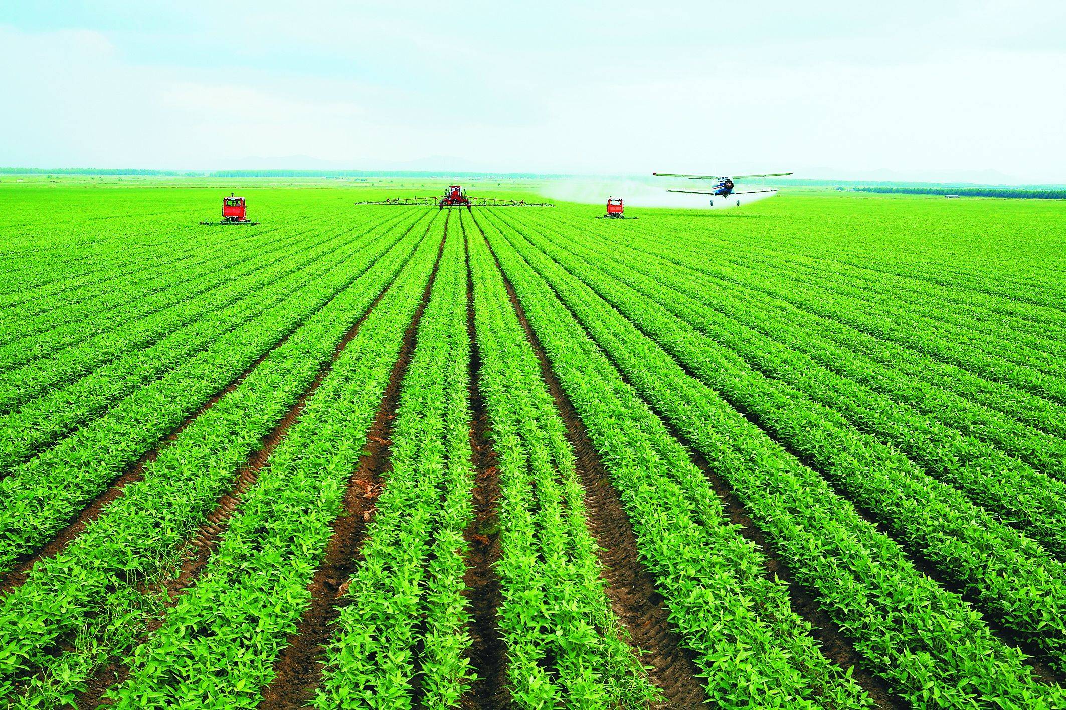 2020年中央经济工作会议部署的2021年八项重点任务如下:1,强化国家