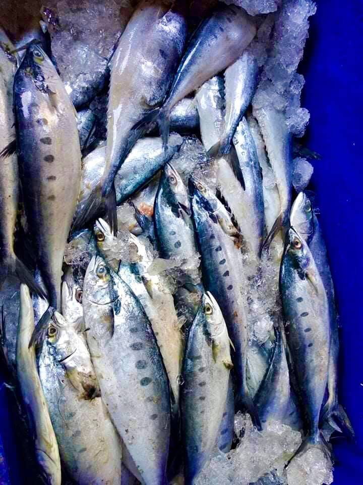 由于疫情导致市场供应减少,缅军给军人家庭发鱼