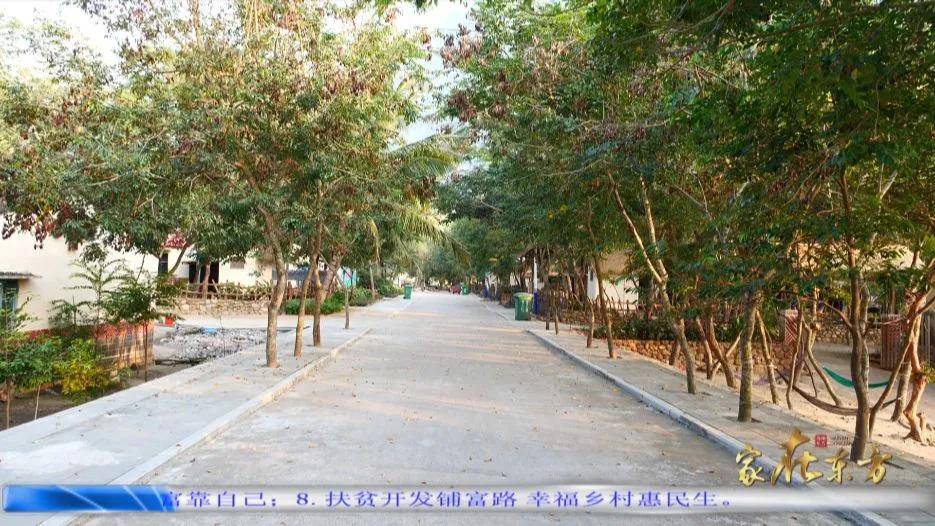 东河镇南浪村脱贫户张建劳称有了他们的帮助,现在脱贫了,生活也发生